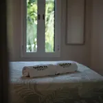 Sedirli Ev イン アラカティ